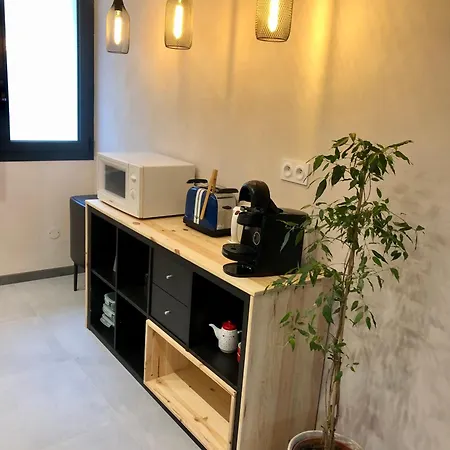 Appartement Le Petit Cathare, Nid Rénové Au Cœur De *